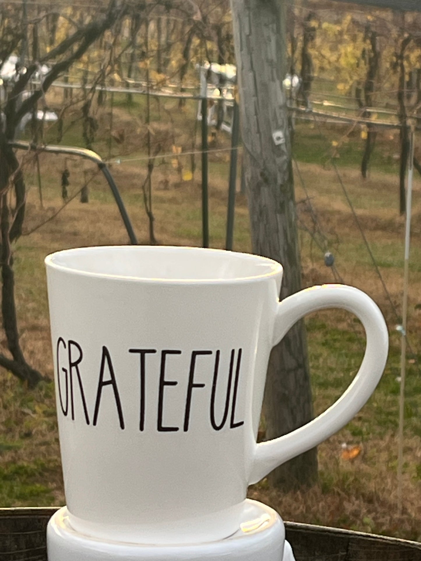 Grateful Ceramic Mug